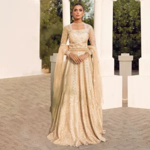 Buy Reign Fancy Wear Online - Bridal Wear - Lehenga For Women | Mayaar