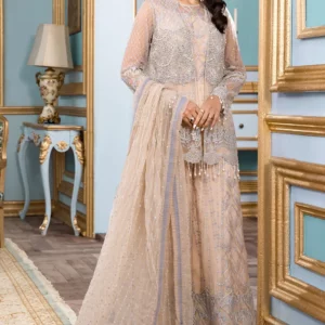 Buy Reign Fancy Wear Online - Bridal Wear – Reign Alienor Bridal Wear | Mayaar
