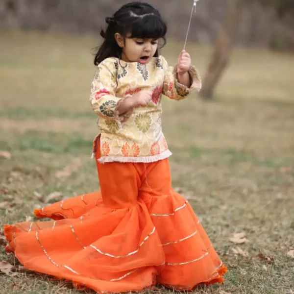 Bloon Long Flared Sharara Dress | Ready to Wear Dresses for Girls | Mayaar