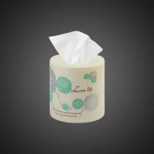 Appollo Houseware – Cute Tissue Holder Set (2 Pcs) – Tissue Roll Holder | Mayaar